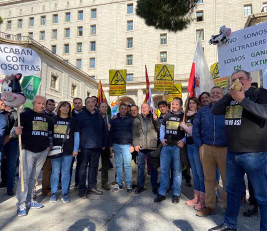 ASAJA Soria participa en la manifestación en Madrid frente al MITECO para reclamar el control del lobo en la provincia