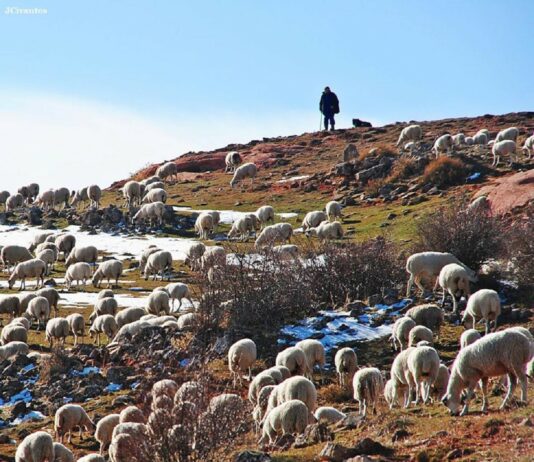ASAJA Soria participará en la manifestación de mañana en Madrid frente al MITECO