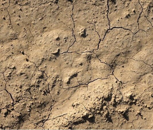 EL CAMPO DE CASTILLA Y LEÓN SALDRÁ A LA CALLE PARA RECLAMAR AYUDAS URGENTES POR LA SEQUÍA