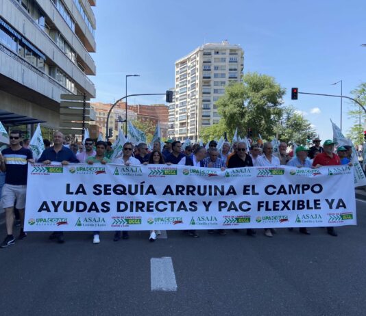 Agricultores y ganaderos de Castilla y León se manifiestan frente a la Consejería y la Delegación del Gobierno para exigir ayudas urgentes por la sequía