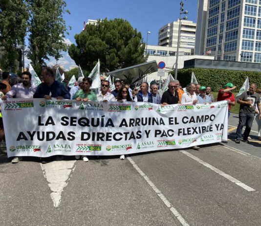 Tema sequía en el Consejo Agrario de Castilla y León: ASAJA pide el doble de presupuesto y ayudas directas para todos los profesionales