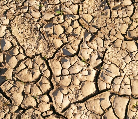 EVOLUCIÓN PERITACIONES SEQUÍA SORIA 2023