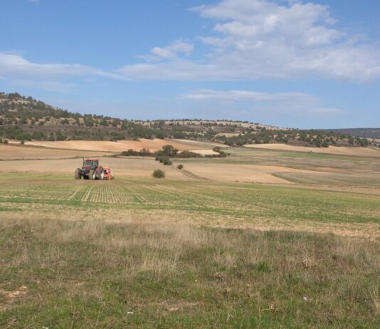 El Gobierno aprueba flexibilizar la PAC con ecorregímenes más simples