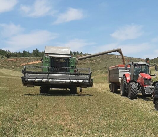 Cosecha estival 2023. La peor campaña de la historia en el cereal