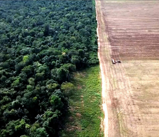 Mercosur: El Gobierno brasileño tilda de «exageradas» las exigencias ambientales de la UE