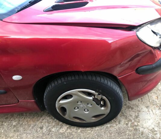 ASAJA Soria: «Cuatro accidentes diarios por irrupción de animales salvajes sigue siendo una barbaridad»