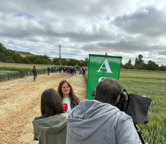 RECORTES DE PRENSA 2024/2025