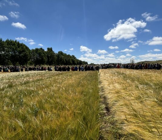 ASAJA Soria intensifica su oferta de experimentación en los campos de ensayo de Almazán en una nueva ubicación