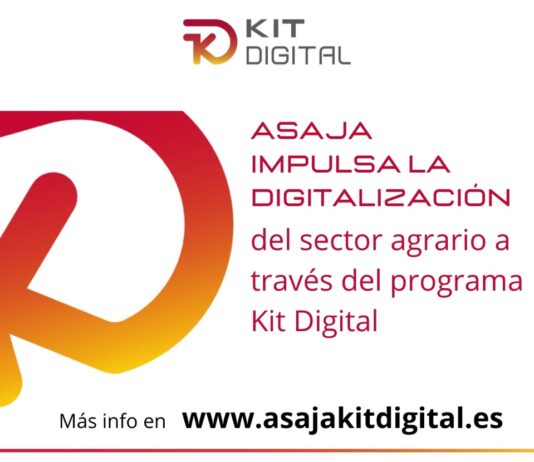 Red.es publica la convocatoria de modificación del Kit Digital ampliando la ayuda para el Segmento III hasta los 3000 €