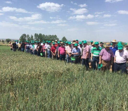 JORNADA DE VISITA A LOS CAMPOS DE ENSAYO DE ASAJA EN ALMAZÁN. EL VIERNES 21 DE JUNIO