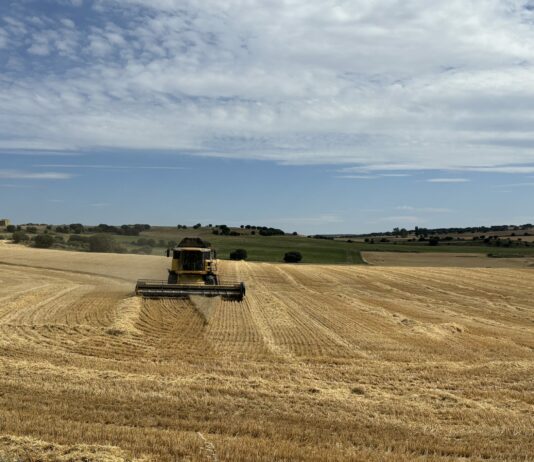 LA CONSEJERÍA VUELVE A LAS ANDADAS Y PROHÍBE PARCIALMENTE LA COSECHA PARA ESTA NUEVA OLA DE CALOR