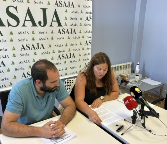 COSECHA ESTIVAL 2024