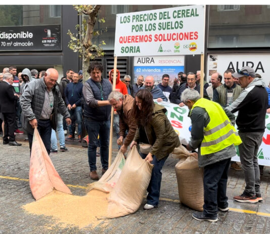 ASAJA Soria reclama precios justos para el cereal