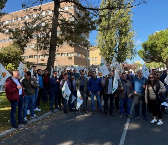 CONCENTRACIÓN EN DEFENSA DE LA AGRICULTURA CEREALISTA EN VALLADOLID