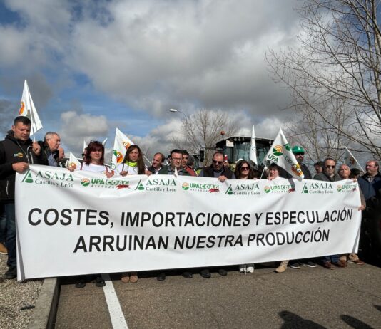 Los cerealistas intensifican su protesta contra los precios del cereal con una concentración en Babilafuente (Salamanca)