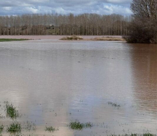 ASAJA Soria se reunirá con el subdelegado para tratar el preocupante estado de numerosos puntos fluviales de la provincia