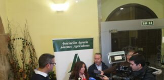 Dossier de prensa 25-26