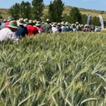 ARTÍCULO DE OPINIÓN. REVISTA 165 ASAJA