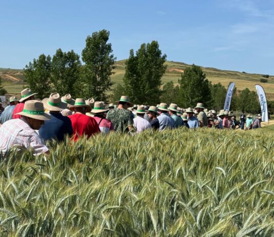 ARTÍCULO DE OPINIÓN. REVISTA 165 ASAJA