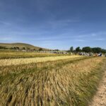 El campo soriano pide responsabilidad política y coherencia tras las elecciones y es el momento de demostrarlo