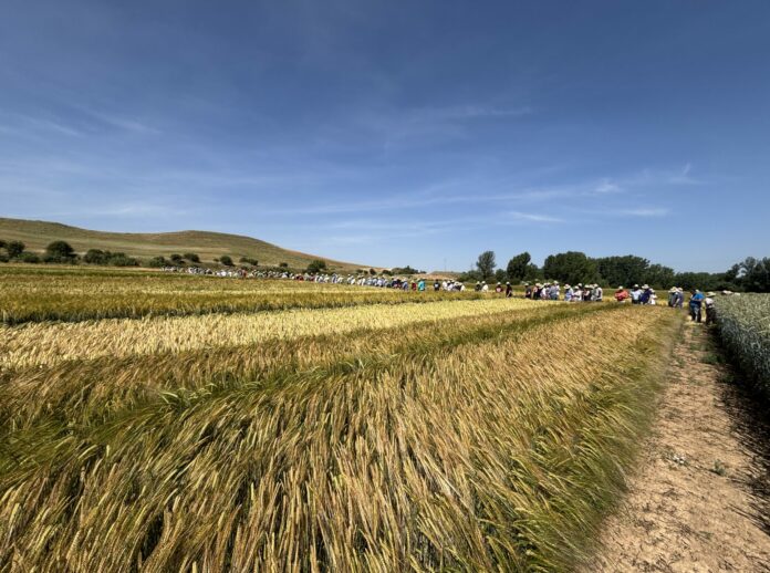 El campo soriano pide responsabilidad política y coherencia tras las elecciones y es el momento de demostrarlo