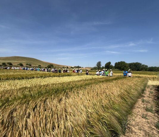 XXIII Visita a los Campos de Ensayo de ASAJA Soria en Almazán