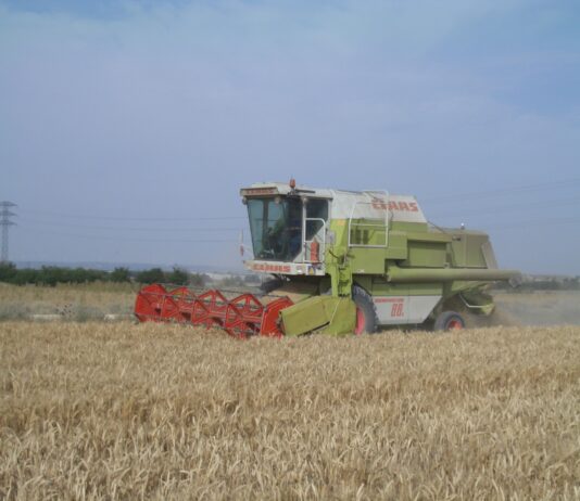 COSECHA ESTIVAL 2025