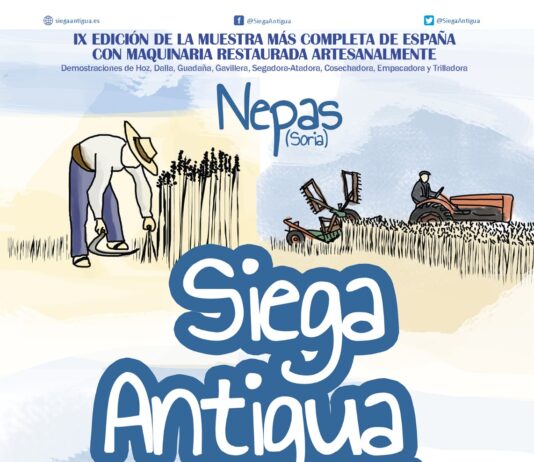 El 23 de agosto, IX Siega Antigua de Nepas