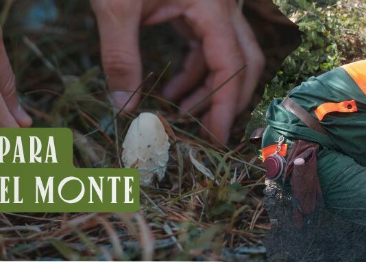 ASFOSO organiza un curso de formación gratuita para emprender en el medio rural