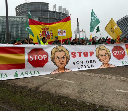 ASAJA pide a los europarlamentarios que apoyen la investigación judicial del acuerdo UE-Mercosur