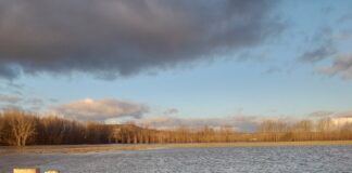 Honda preocupación de ASAJA Soria por las prolongadas lluvias, con el colmo de las inundaciones