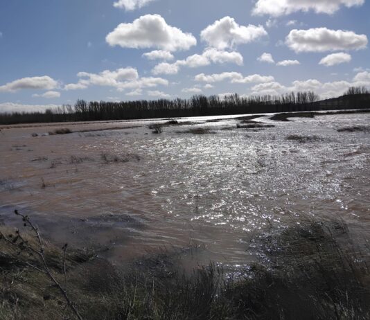 CIRCULAR DAÑOS INUNDACIONES