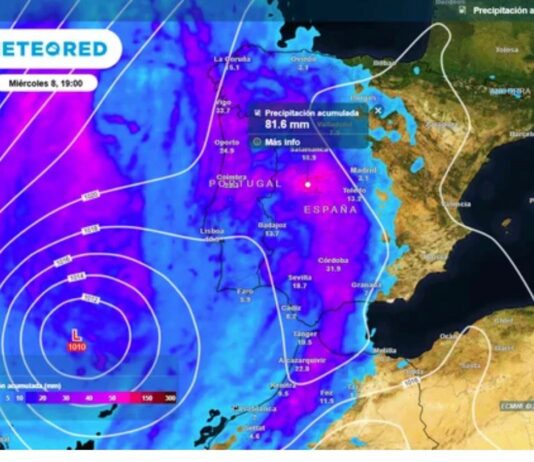 ASAJA Soria pide prudencia ante la nueva campaña de cereal
