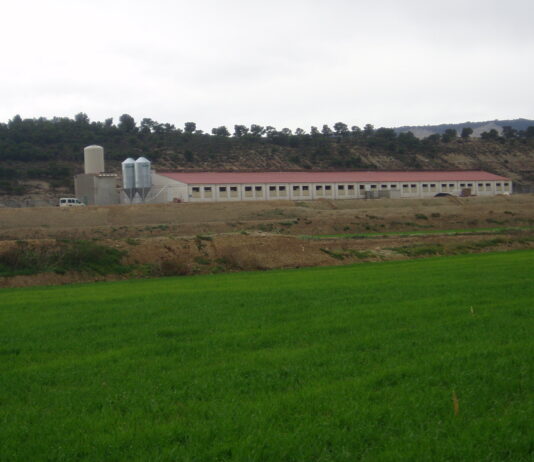 Ley sobre multirreincidencia: Un paso adelante en la protección del campo y del medio rural, pero ASAJA pide al Gobierno una aplicación efectiva ante los robos en explotaciones agroganaderas