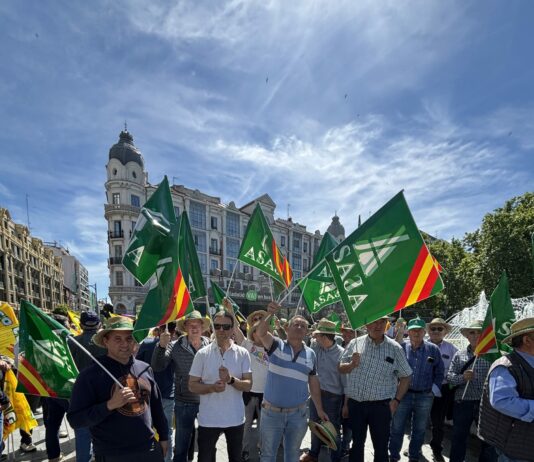 ASAJA Soria cerrará sus oficinas el 27 de agosto para secundar el paro por la falta de rentabilidad del cereal