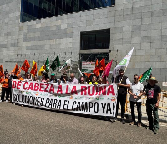 LAS ORGANIZACIONES AGRARIAS PIDEN UNA TRANSFERENCIA DE COMPETENCIAS “AMPLIA Y COHERENTE” A LA CONSEJERÍA DE AGRICULTURA