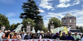 LAS OPAS DE CASTILLA Y LEÓN PIDEN UNA REUNIÓN URGENTE CON EL PRESIDENTE DE LA JUNTA ANTE EL INICIO DE UNA CAMPAÑA AGRÍCOLA CRÍTICA