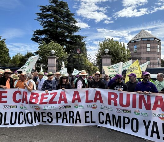 LAS OPAS DE CASTILLA Y LEÓN PIDEN UNA REUNIÓN URGENTE CON EL PRESIDENTE DE LA JUNTA ANTE EL INICIO DE UNA CAMPAÑA AGRÍCOLA CRÍTICA