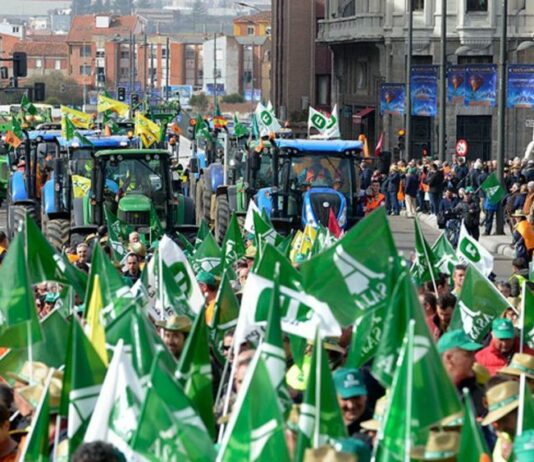 ASAJA, COAG Y UNIÓN DE UNIONES CONVOCAN UNA GRAN TRACTORADA EN MADRID EL 28 DE OCTUBRE POR UN CAMPO CON FUTURO