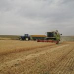 Se venden derechos de las Regiones 4,7 y 11 Ya se pueden solicitar las ayudas para incorporación de jóvenes y modernización de explotaciones de este año