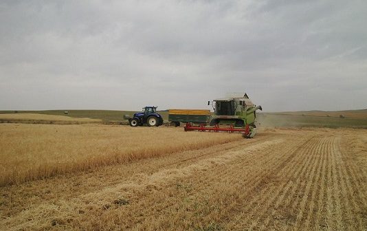 La Comisión se escuda en argumentos populistas para imponer limitaciones a la produccion Ya se pueden solicitar las ayudas para incorporación de jóvenes y modernización de explotaciones de este año