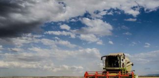ASAJA Valladolid exige a la Consejería de Medio Ambiente y Energía que rectifique la restricción general de utilizar maquinaria agrícola en plena campaña ASAJA prevé una cosecha de cereales de invierno de 9