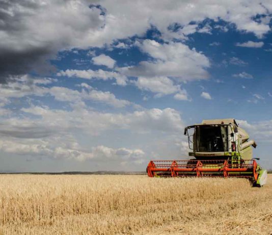Convocado el Plan Renove de Maquinaria Agrícola 2023 ASAJA prevé una cosecha de cereales de invierno de 9