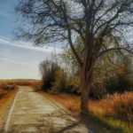 Contra la despoblación falta dinero y sobran conferencias Campo y carretera