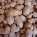 La mala campaña de patata reactiva la necesidad de una interprofesional La mala campaña de patata reactiva la necesidad de una interprofesional