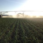 ASAJA Valladolid lanza una campaña para asegurar los equipos de riego ASAJA VALLADOLID reclama una mayor inversión en infraestructuras que almacenen el agua para las épocas de sequía