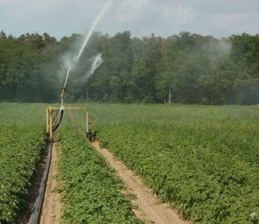 Conoce las ayudas para actuaciones de eficiencia energética en explotaciones agropecuarias Tordesillas acoge este jueves día 1 de junio una jornada sobre riego