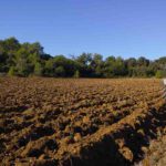 Se venden derechos de las Regiones 1,7 y 11 ASAJA exige el anticipo de las ayudas de la PAC del Desarrollo Rural