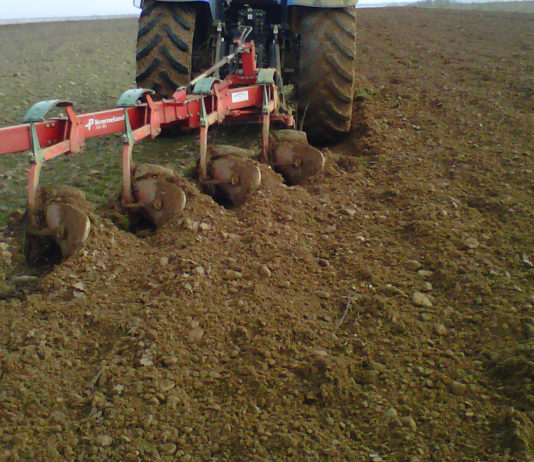 In memoriam Eduardo Centeno Castell Arando tierra