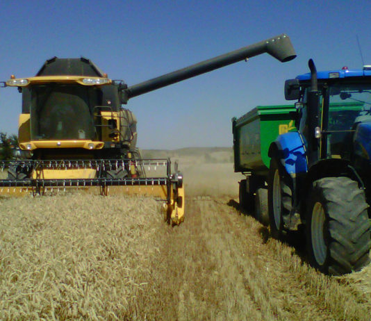 ASAJA convoca la V Edición del Certamen Nacional “Joven Agricultor” Cosechar